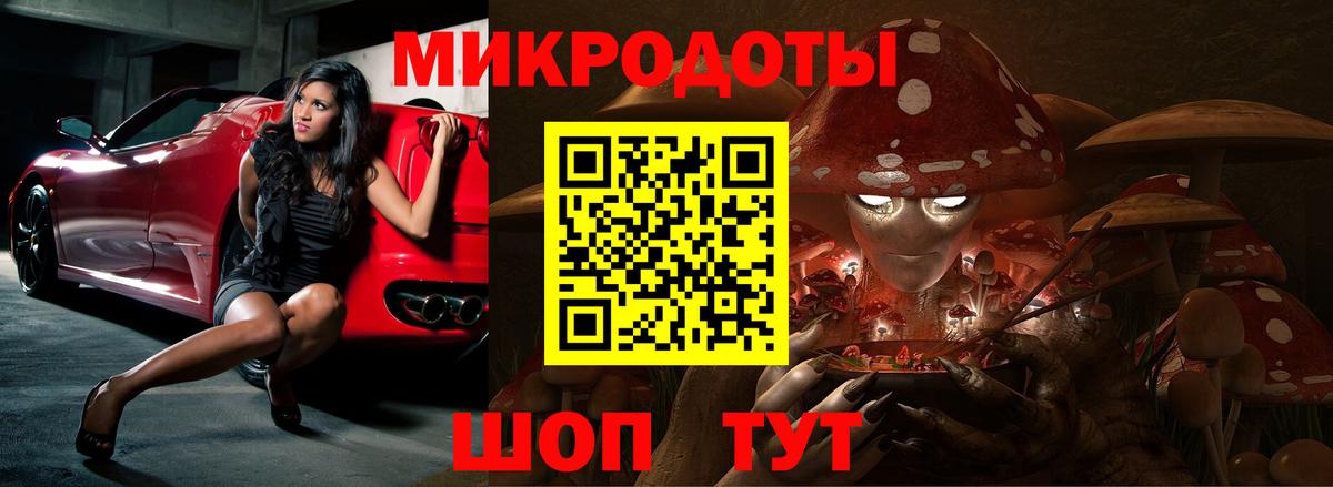 Галлюциногенные грибы MAGIC MUSHROOMS  Вход с VPN  Соль-Илецк 